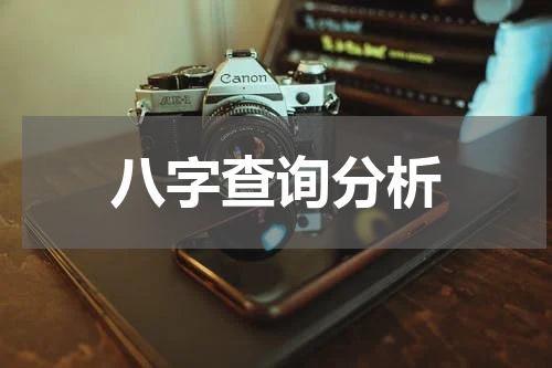 八字查询分析