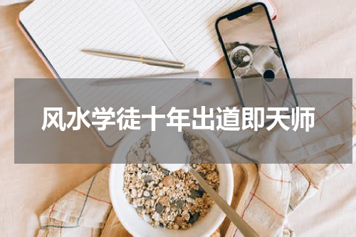 风水学徒十年出道即天师