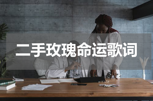 二手玫瑰命运歌词