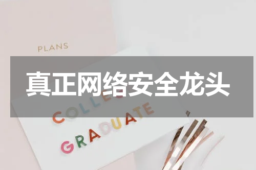 真正网络安全龙头