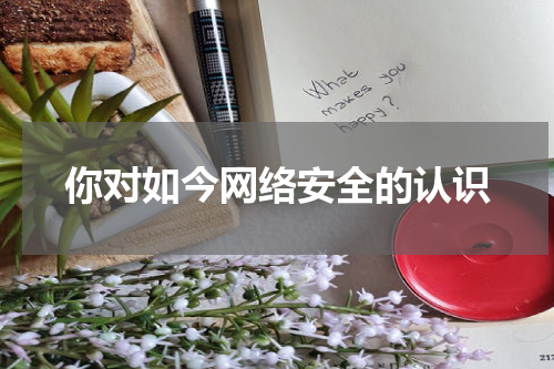 你对如今网络安全的认识