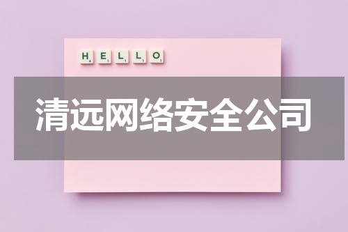 清远网络安全公司