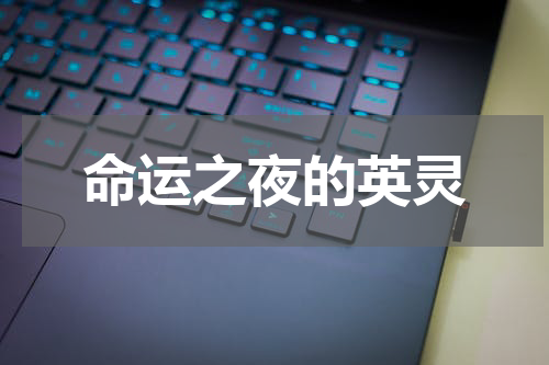 命运之夜的英灵