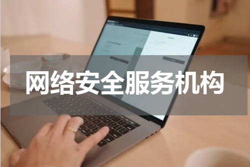 网络安全服务机构