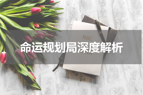 命运规划局深度解析