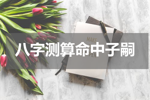 八字测算命中子嗣