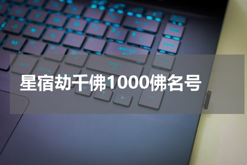 星宿劫千佛1000佛名号