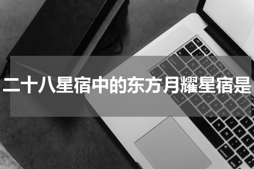 二十八星宿中的东方月耀星宿是