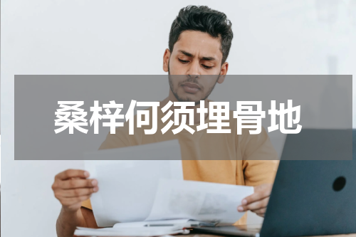 桑梓何须埋骨地