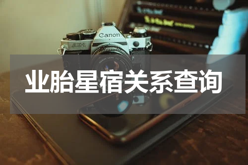 业胎星宿关系查询