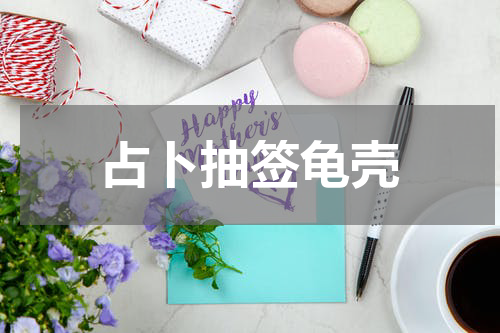 占卜抽签龟壳
