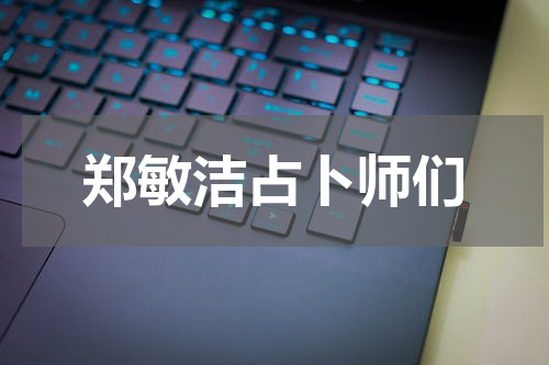 郑敏洁占卜师们