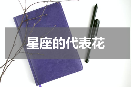 星座的代表花