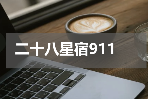 二十八星宿911