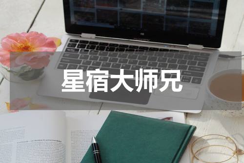 星宿大师兄