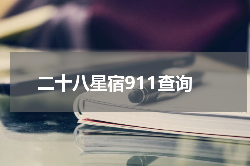 二十八星宿911查询