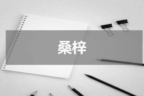 桑梓