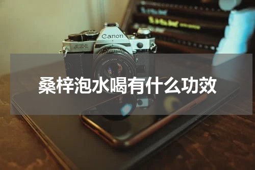 桑梓泡水喝有什么功效