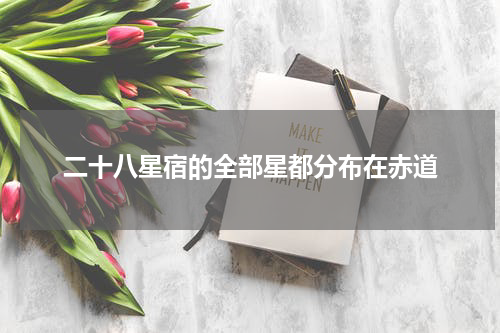 二十八星宿的全部星都分布在赤道