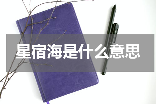 星宿海是什么意思