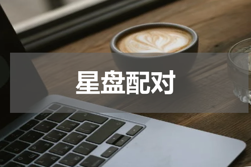 星盘配对
