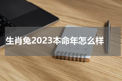 生肖兔2023本命年怎么样