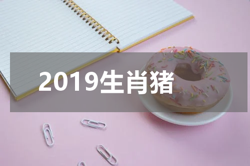 2019生肖猪