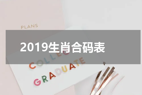 2019生肖合码表