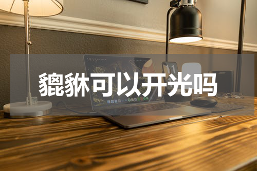 貔貅可以开光吗