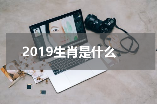2019生肖是什么