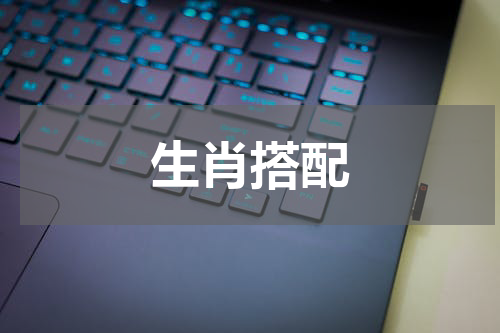 生肖搭配