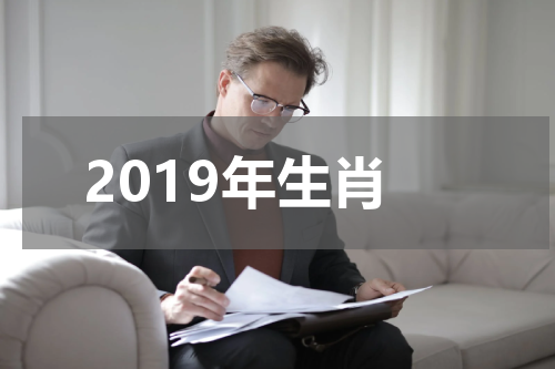 2019年生肖