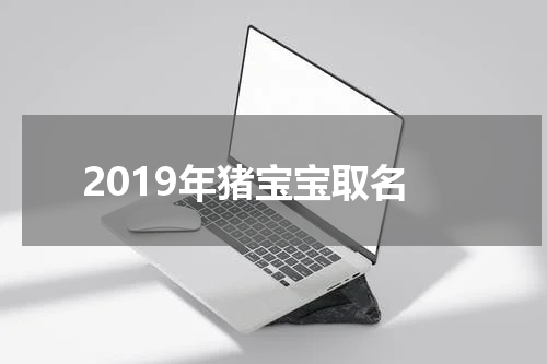 2019年猪宝宝取名