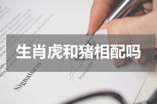 生肖虎和猪相配吗