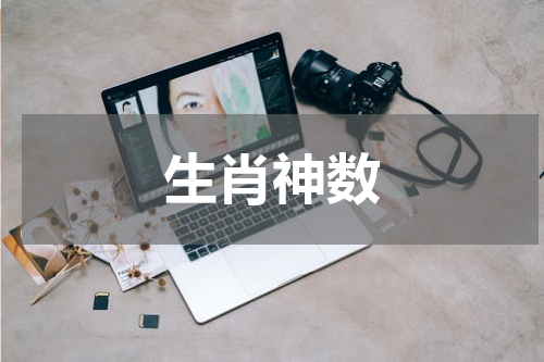 生肖神数
