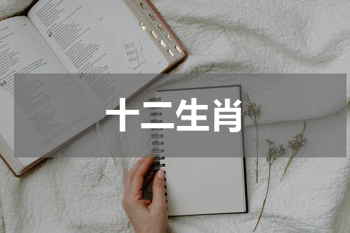 十二生肖