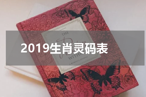 2019生肖灵码表