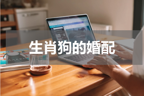 生肖狗的婚配