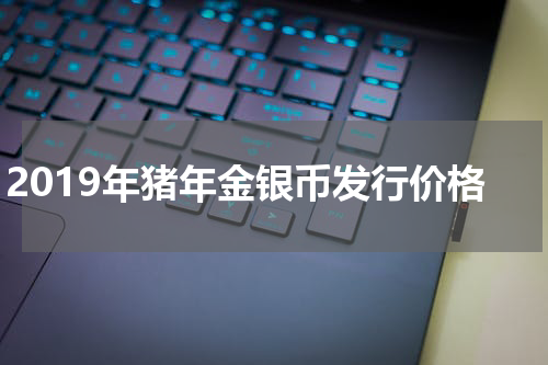 2019年猪年金银币发行价格