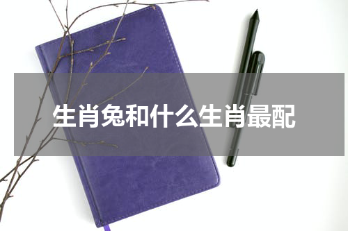 生肖兔和什么生肖最配