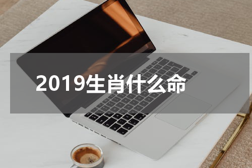 2019生肖什么命