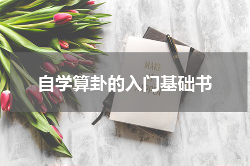 自学算卦的入门基础书