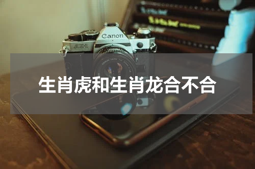 生肖虎和生肖龙合不合
