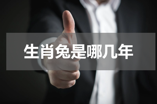 生肖兔是哪几年