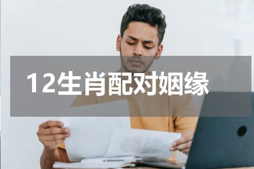 12生肖配对姻缘
