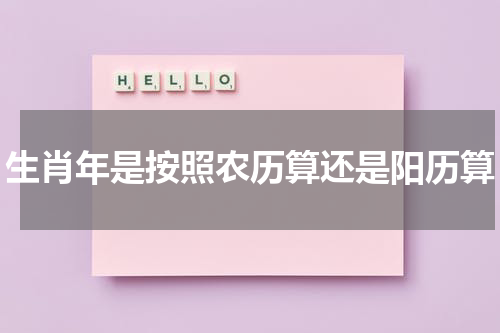 生肖年是按照农历算还是阳历算