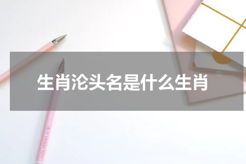 生肖沦头名是什么生肖
