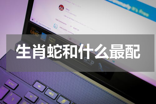 生肖蛇和什么最配