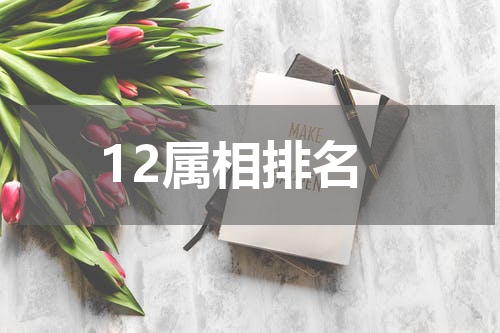 12属相排名