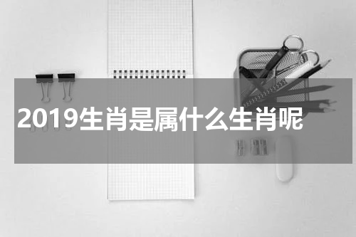 2019生肖是属什么生肖呢